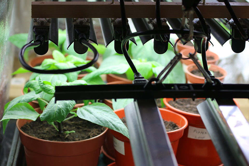 Salisbury Greenhouse Sherwood Park & Edmonton