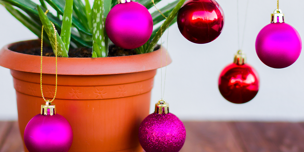 9 Awesome Gift for the Gardeners in Your Life main
