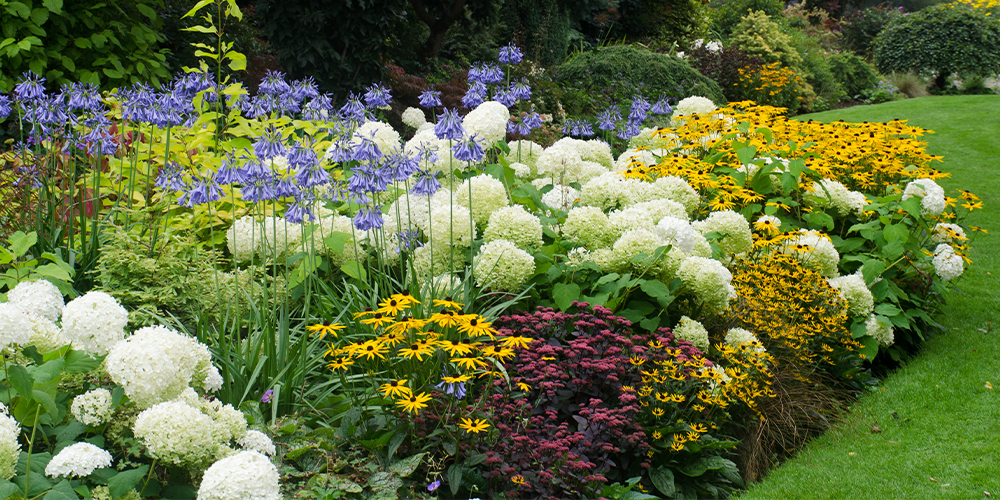 A Complete Guide In Demistifying Gardening Zones main