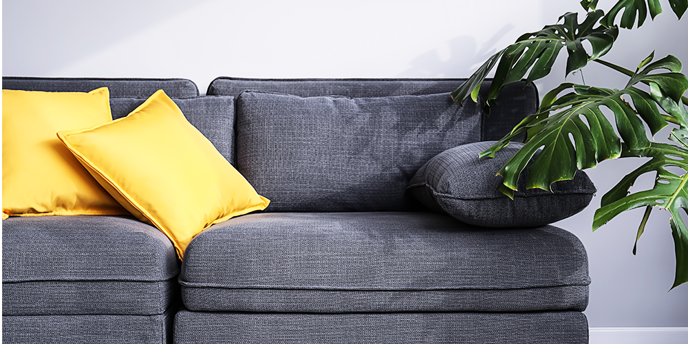 a minimalists guide to houseplants main