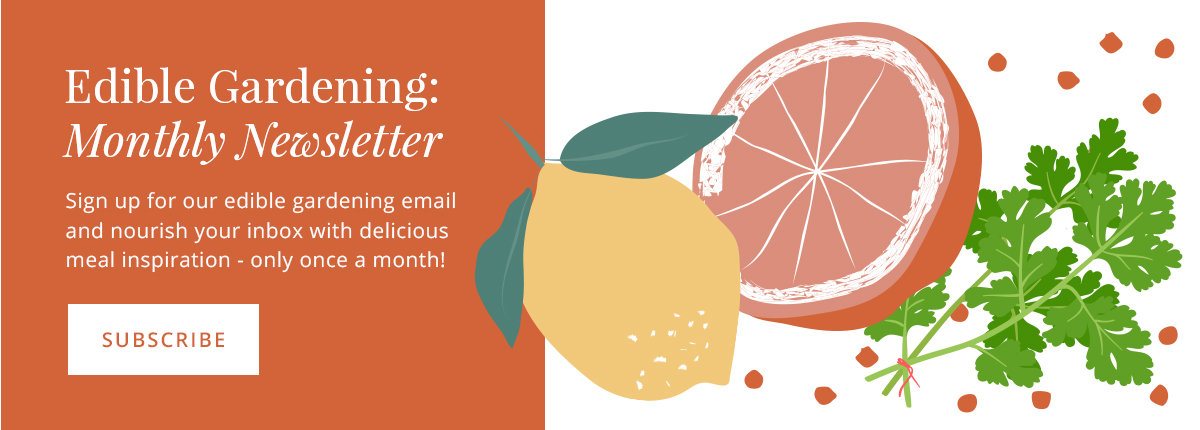 Salisbury Greenhouse Edible Gardening Email Subscribe