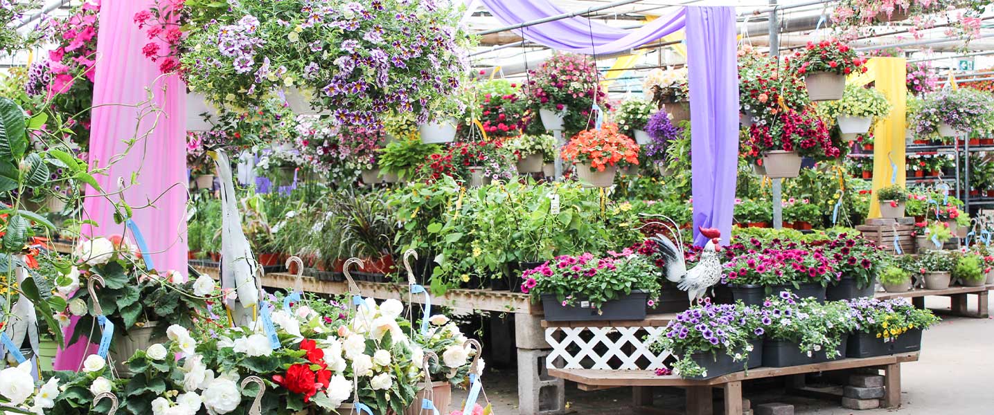 Salisbury Greenhouse Sherwood Park & Edmonton