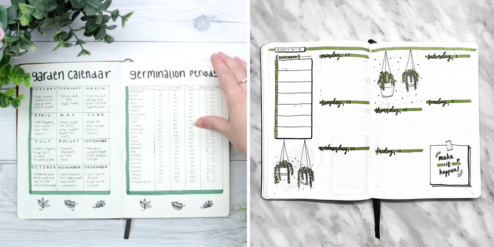 how to create a personalized plant journal bullet examples