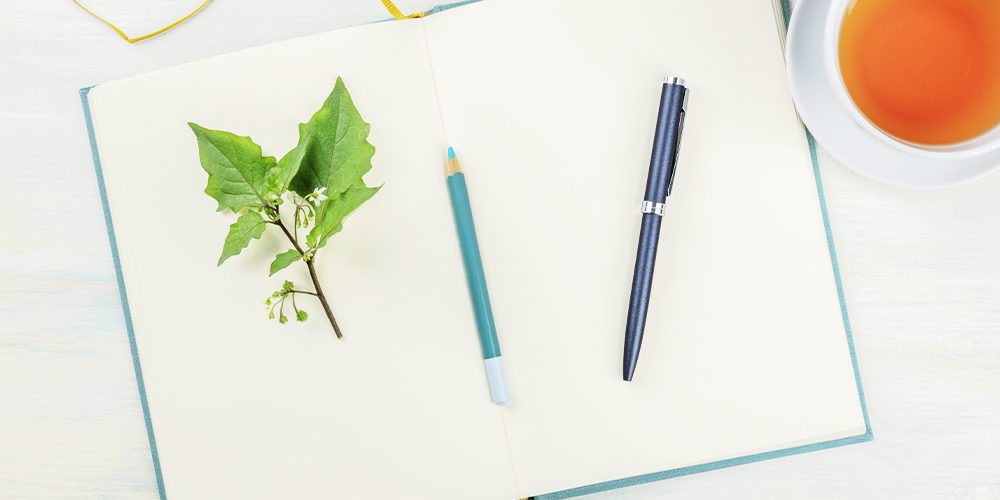 how to create a personalized plant journal empty spread