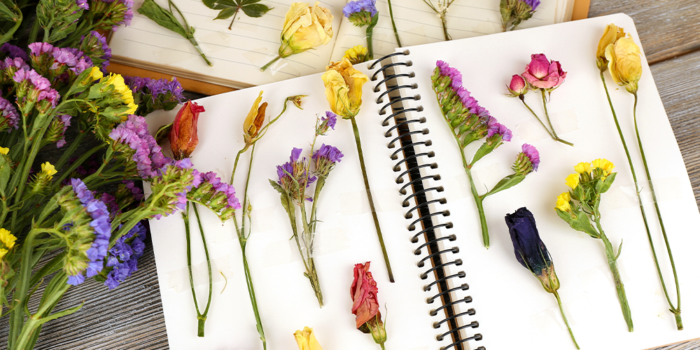 how to create a personalized plant journal main