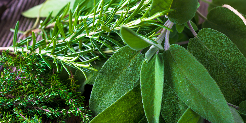 how to grow the best indoor herb garden ever fresh gathered herbs