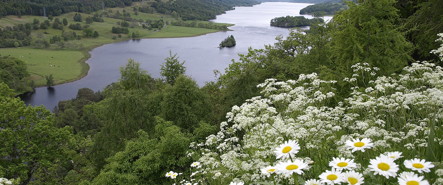 Planting for Mother Nature