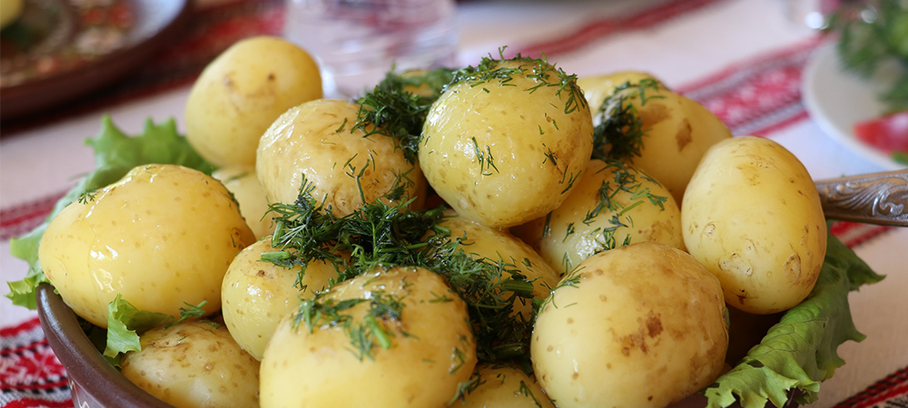 why grow dill
