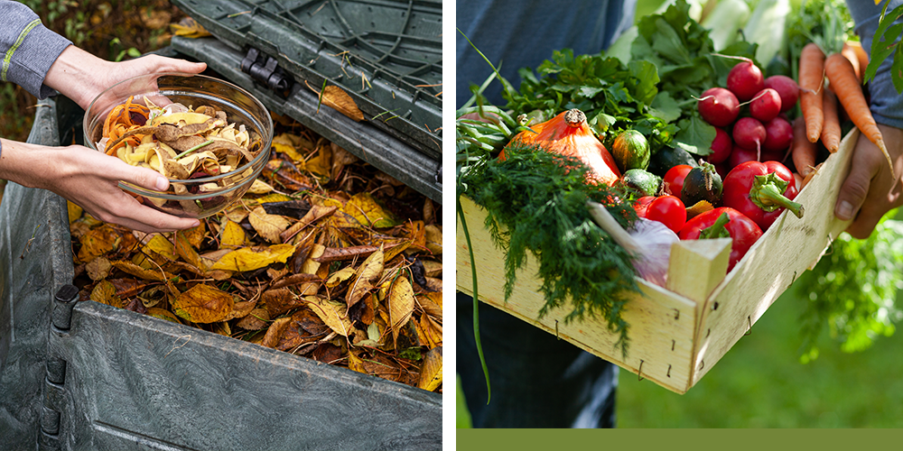 what we learned about gardening in 2019 zero waste gardening