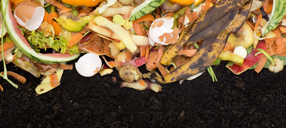 Zero Waste Gardening Compost