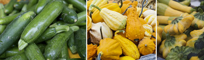 Squash