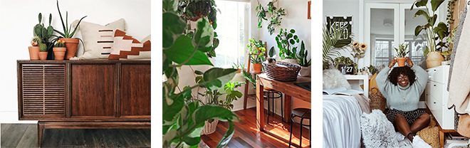 Kaekoo Shop, Studio Plants, Jnaydaily