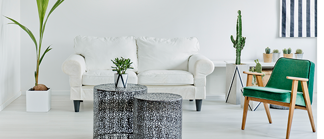 living room with houseplants