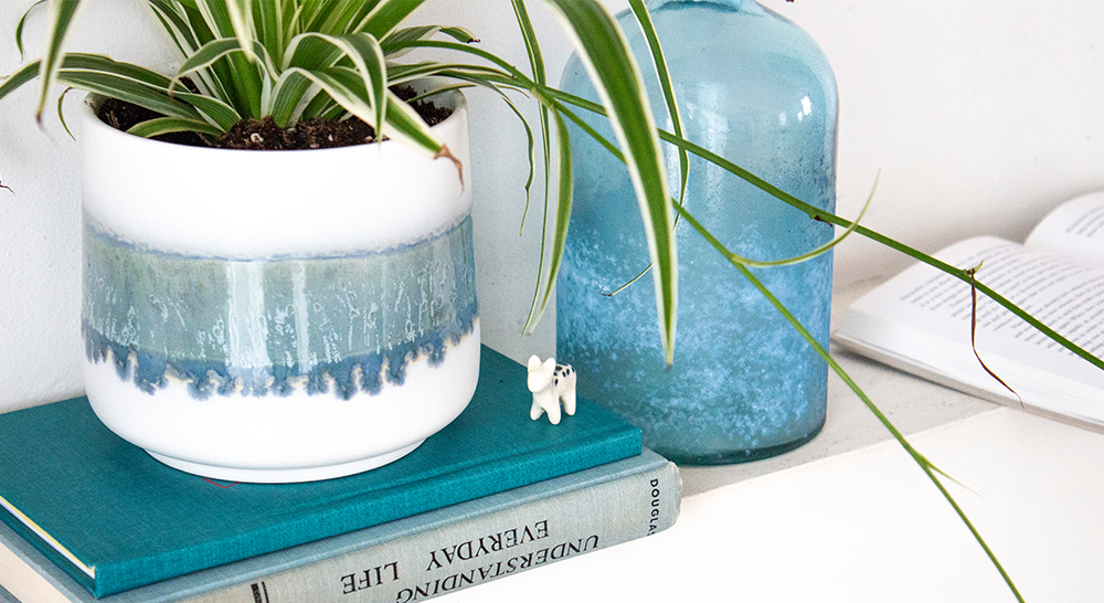 plant perfectly placed on top of books