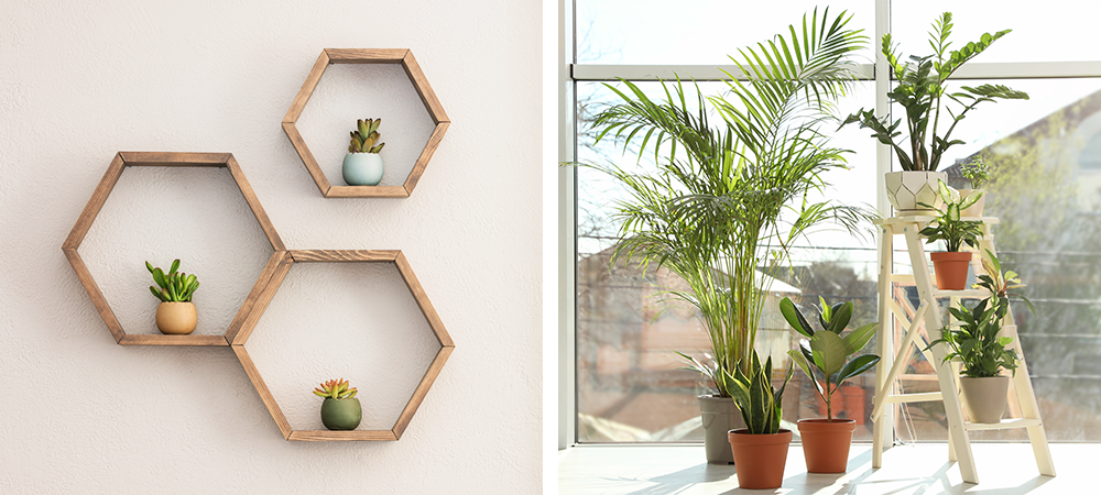 floating shelves plant stands plant styling trends salisbury greenhouse sherwood park edmonton