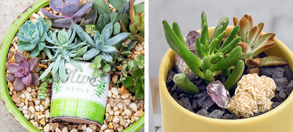 vintage can succulent crystals plant styling trends salisbury greenhouse sherwood park edmonton