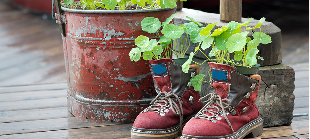 weirdest-gardening-trends-main